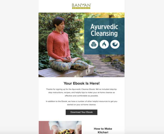 Ayurvedic Cleanse Ebook