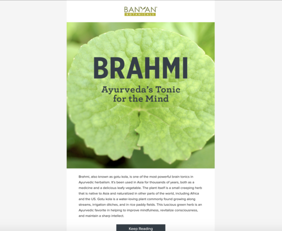 Brahmi Spotlight