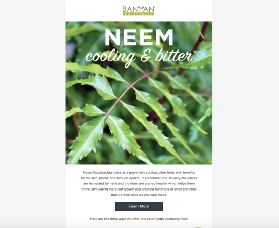 Neem Spotlight