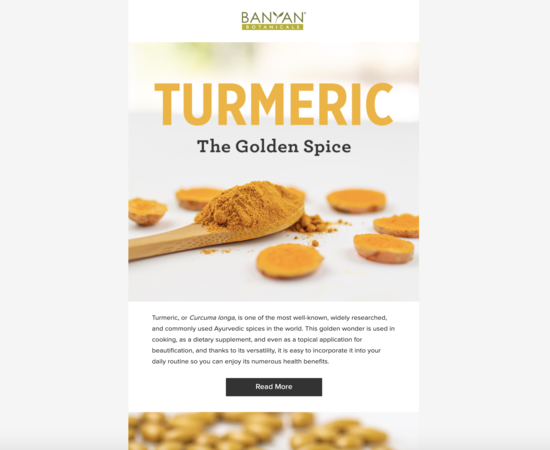 Turmeric Spotlight